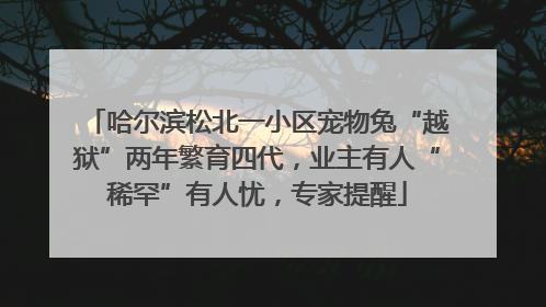 哈尔滨松北一小区宠物兔“越狱”两年繁育四代，业主有人“稀罕”有人忧，专家提醒