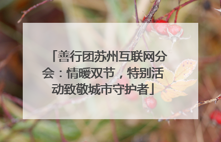善行团苏州互联网分会：情暖双节，特别活动致敬城市守护者