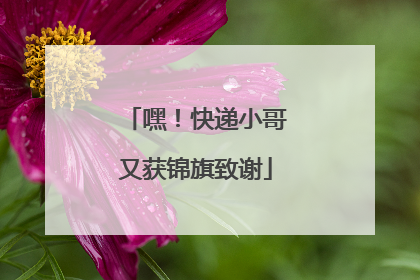 嘿！快递小哥又获锦旗致谢