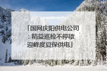 国网庆阳供电公司：精益巡检不停歇 迎峰度夏保供电