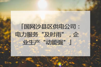国网沙县区供电公司：电力服务“及时雨”，企业生产“动能强”