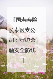 国寿寿险长泰区支公司：守护金融安全防线