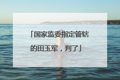 国家监委指定管辖的田玉军，判了