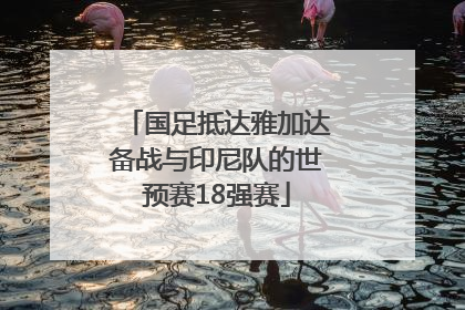 国足抵达雅加达备战与印尼队的世预赛18强赛