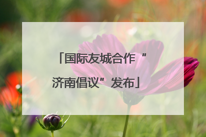 国际友城合作“济南倡议”发布