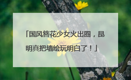 国风簪花少女火出圈，昆明真把墙绘玩明白了！