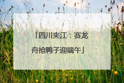 四川夹江：赛龙舟抢鸭子迎端午