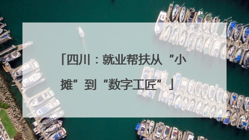 四川：就业帮扶从“小摊”到“数字工匠”