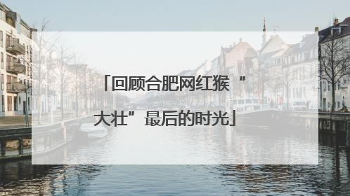 回顾合肥网红猴“大壮”最后的时光