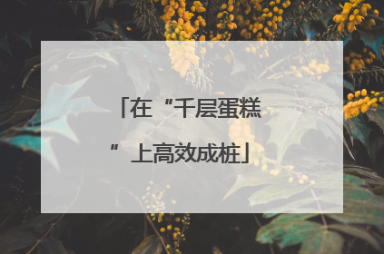 在“千层蛋糕”上高效成桩
