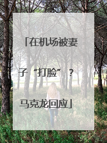 在机场被妻子“打脸”？马克龙回应