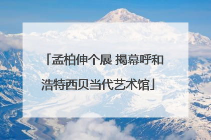 孟柏伸个展 揭幕呼和浩特西贝当代艺术馆