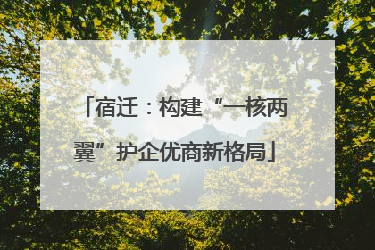 宿迁：构建“一核两翼”护企优商新格局