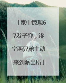 家中惊现67发子弹，遂宁两兄弟主动来到派出所