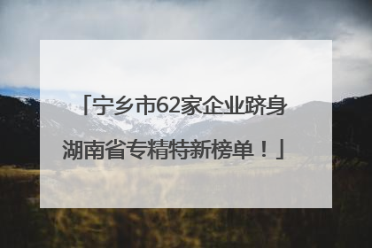 宁乡市62家企业跻身湖南省专精特新榜单！