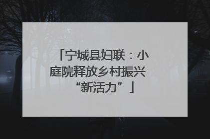 宁城县妇联：小庭院释放乡村振兴“新活力”
