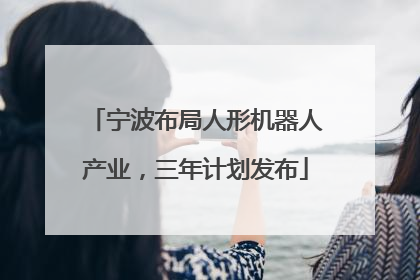 宁波布局人形机器人产业，三年计划发布