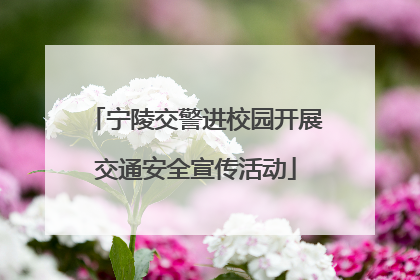 宁陵交警进校园开展交通安全宣传活动