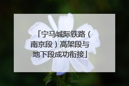 宁马城际铁路（南京段）高架段与地下段成功衔接