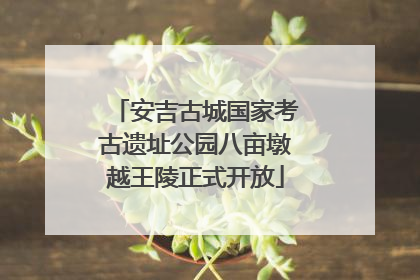 安吉古城国家考古遗址公园八亩墩越王陵正式开放