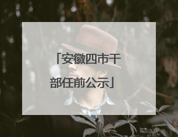 安徽四市干部任前公示