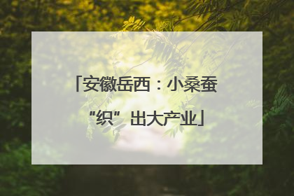 安徽岳西：小桑蚕“织”出大产业