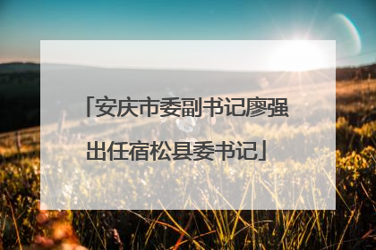 安庆市委副书记廖强出任宿松县委书记
