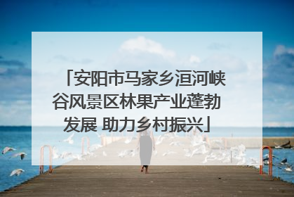 安阳市马家乡洹河峡谷风景区林果产业蓬勃发展 助力乡村振兴