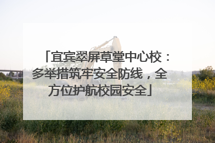 宜宾翠屏草堂中心校：多举措筑牢安全防线，全方位护航校园安全