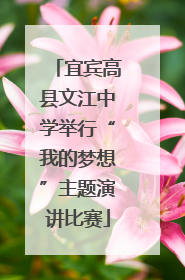 宜宾高县文江中学举行“我的梦想”主题演讲比赛
