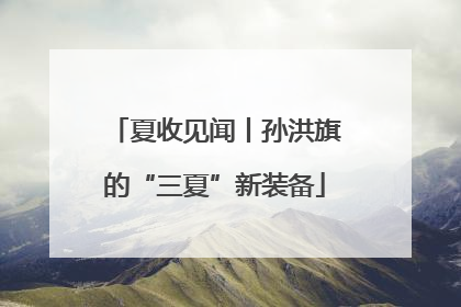 夏收见闻丨孙洪旗的“三夏”新装备