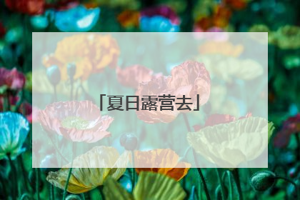 夏日露营去