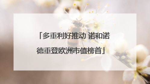 多重利好推动 诺和诺德重登欧洲市值榜首