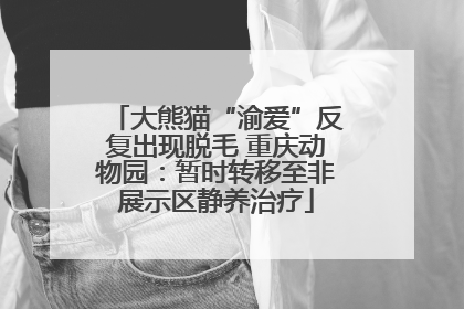 大熊猫“渝爱”反复出现脱毛 重庆动物园：暂时转移至非展示区静养治疗