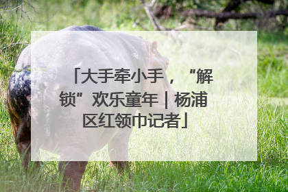 大手牵小手，“解锁”欢乐童年｜杨浦区红领巾记者
