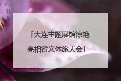 大连主题展馆惊艳亮相省文体旅大会