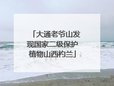 大通老爷山发现国家二级保护植物山西杓兰