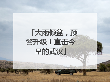 大雨倾盆，预警升级！直击今早的武汉
