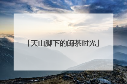 天山脚下的闽茶时光