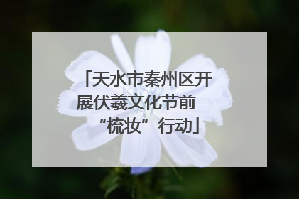 天水市秦州区开展伏羲文化节前 “梳妆”行动