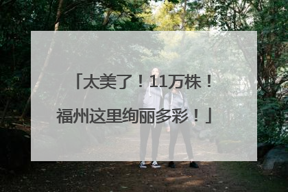 太美了！11万株！福州这里绚丽多彩！