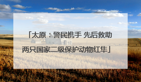 太原：警民携手 先后救助两只国家二级保护动物红隼