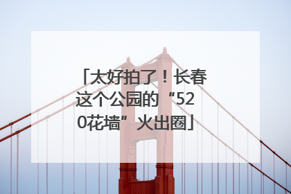 太好拍了！长春这个公园的“520花墙”火出圈