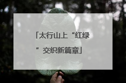 太行山上“红绿”交织新篇章