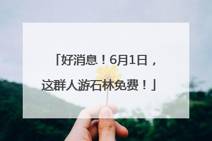 好消息！6月1日，这群人游石林免费！
