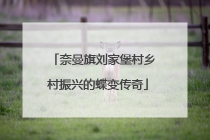 奈曼旗刘家堡村乡村振兴的蝶变传奇