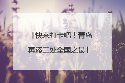 快来打卡吧！青岛再添三处全国之最