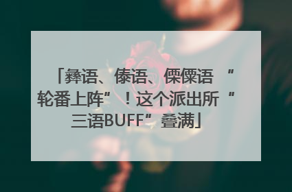 彝语、傣语、傈僳语 “轮番上阵”！这个派出所“三语BUFF”叠满