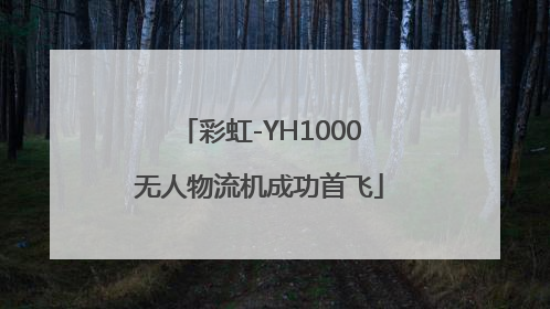 彩虹-YH1000无人物流机成功首飞
