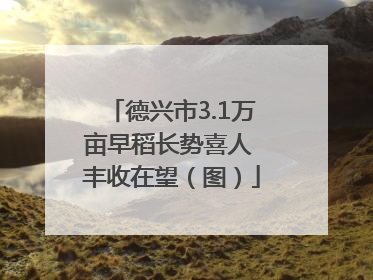 德兴市3.1万亩早稻长势喜人 丰收在望（图）